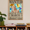 One piece 20