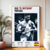 UFC and Boxing 8